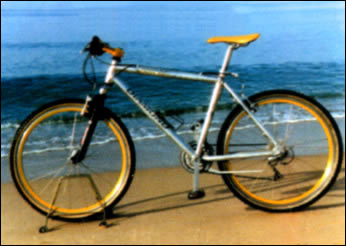Elba Fietsverhuur ElbaService