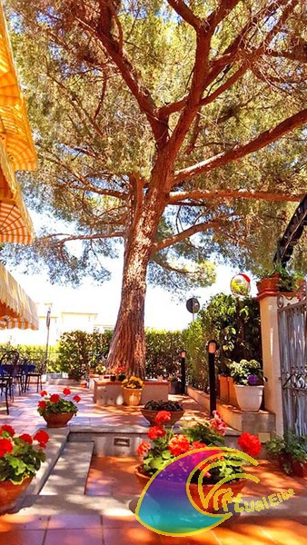 Hotel Punto Verde