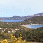 Genetische bank van het eiland Elba