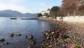 Spiaggia del Grigolo Portoferraio