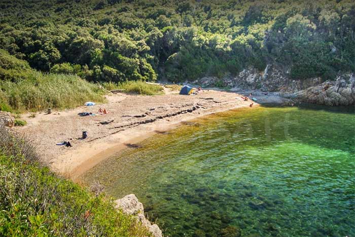 Lamaia Biodola-strand