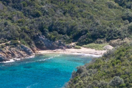 Lamaia Biodola-strand