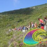 Camping Tallinucci