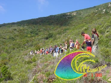 Camping Tallinucci