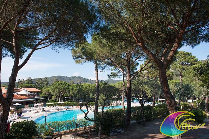 Camping Ville degli Ulivi Piscina