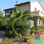 Casina Piccola in Campo all'Aia Appartementen Raffaella