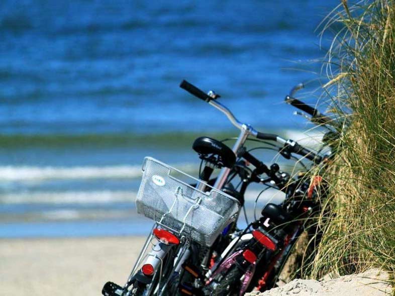 Fietsverhuur Elba Service