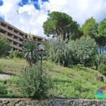 Elba Residence Napoleon
