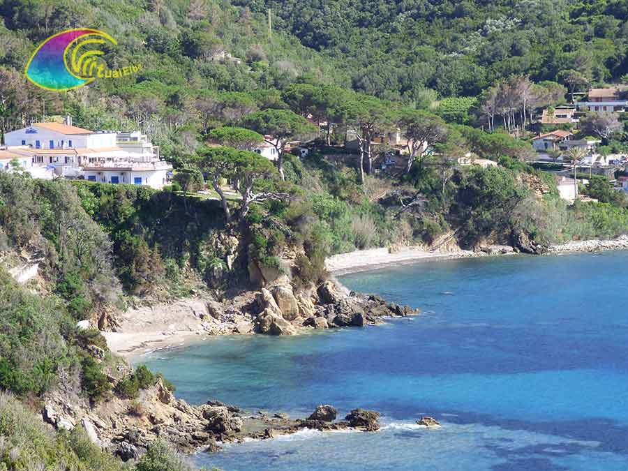 Viticcio-strand Enfola