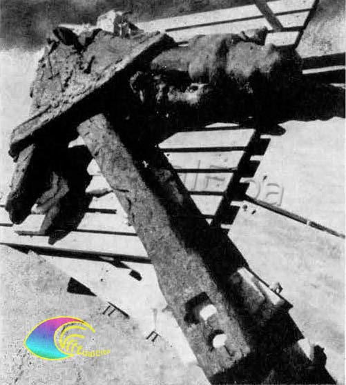 Ancora di legno con collare di piombo Relitto del Cavo Rio Marina