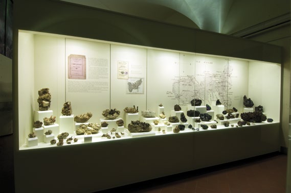 De vitrine gewijd aan de Elba-mineralencollectie Natuurhistorisch museum van de Universiteit van Florence - Geologie van het eiland Elba